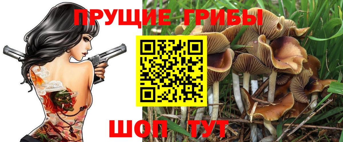 Псилоцибиновые грибы Magic Shrooms Дмитров