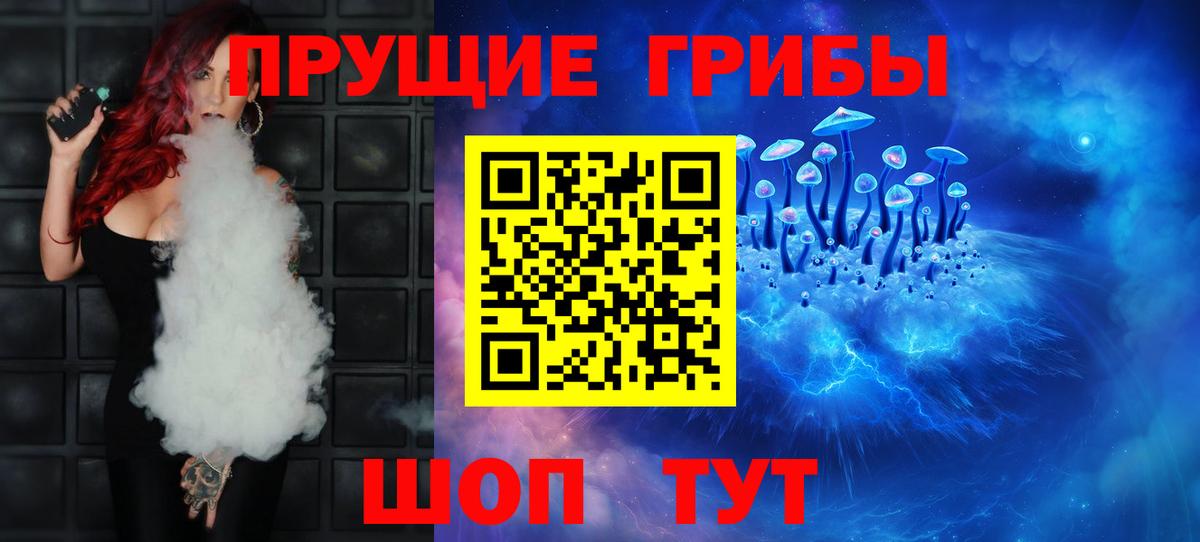 Дмитров  Галлюциногенные грибы GOLDEN TEACHER  Вход с VPN 