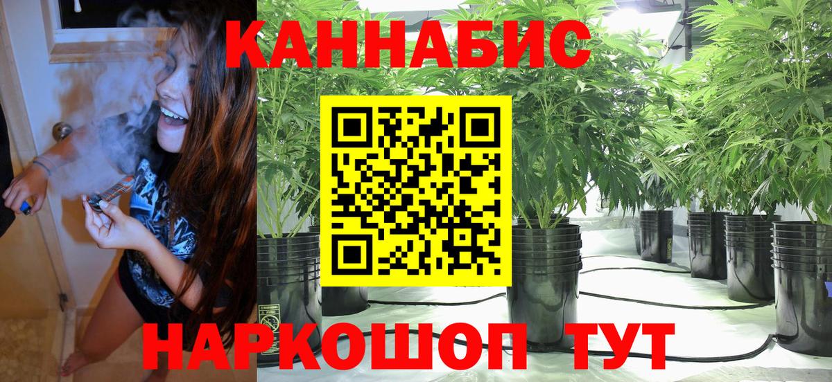 Конопля AK-47 Дмитров